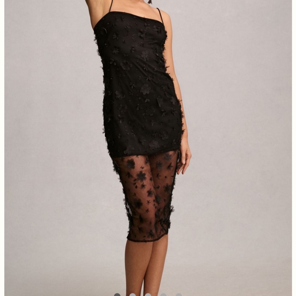 Anthropologie Black Sheer Floral Overlay Slip Dress